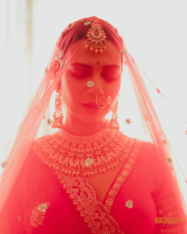 Professional Photography